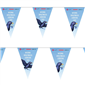 NSS 2024 Bunting