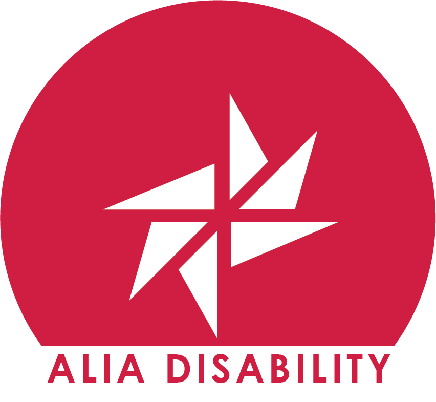 Disability and inclusion professionals