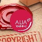 Copyright 101