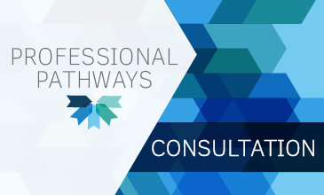 Professional Pathways Consultation Workshop Sydney